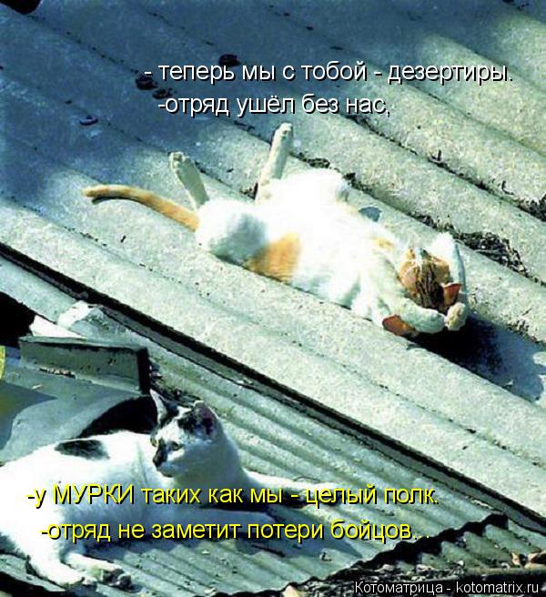 Котоматрица: - теперь мы с тобой - дезертиры. -отряд ушёл без нас, -у МУРКИ таких как мы - целый полк. -отряд не заметит потери бойцов...