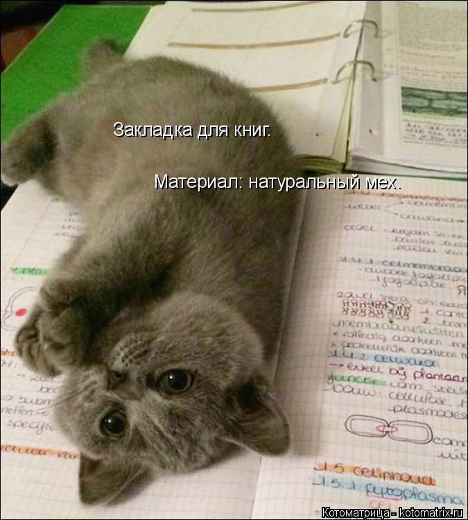 Котоматрица: Закладка для книг. Материал: натуральный мех.