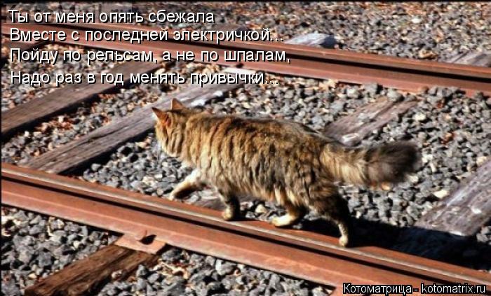 Котоматрица: Ты от меня опять сбежала Вместе с последней электричкой... Пойду по рельсам, а не по шпалам, Надо раз в год менять привычки...