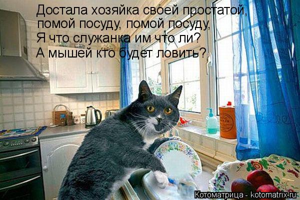 Котоматрица: Достала хозяйка своей простатой, помой посуду, помой посуду, Я что служанка им что ли? А мышей кто будет ловить?