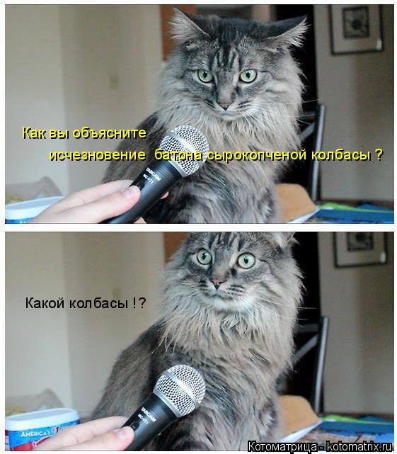 Котоматрица: Как вы объясните  исчезновение  батона сырокопченой колбасы ? Какой колбасы !?
