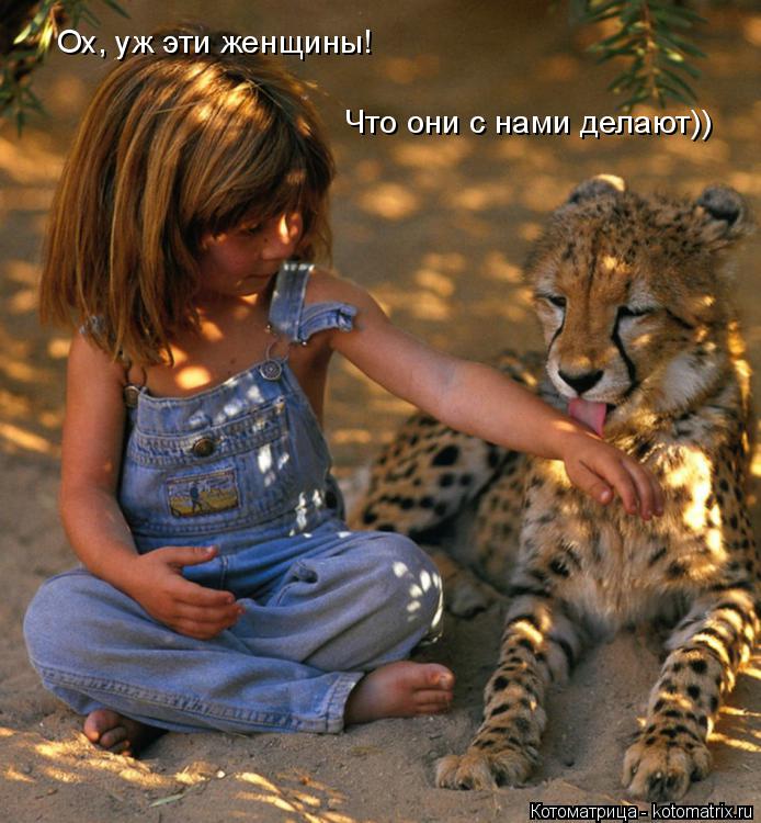 Котоматрица: Ох, уж эти женщины! Что они с нами делают))