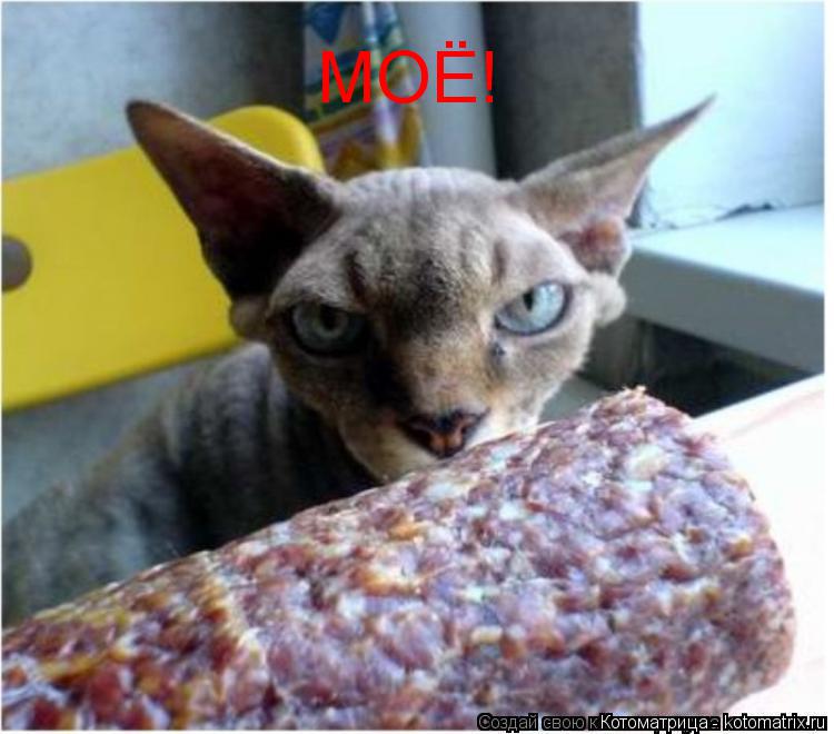 Котоматрица: МОЁ!