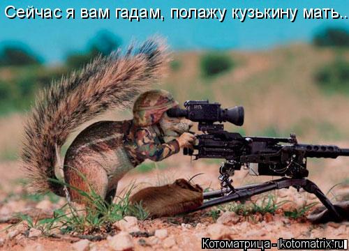 Котоматрица: Сейчас я вам гадам, полажу кузькину мать...