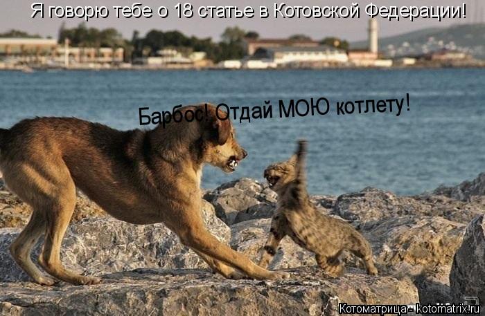Котоматрица: Я говорю тебе о 18 статье в Котовской Федерации!  Барбос! Отдай МОЮ котлету!