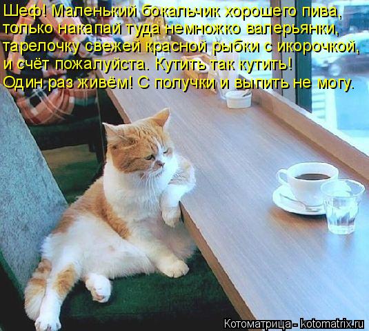 Котоматрица: Шеф! Маленький бокальчик хорошего пива,   только накапай туда немножко валерьянки, тарелочку свежей красной рыбки с икорочкой, и счёт пожал