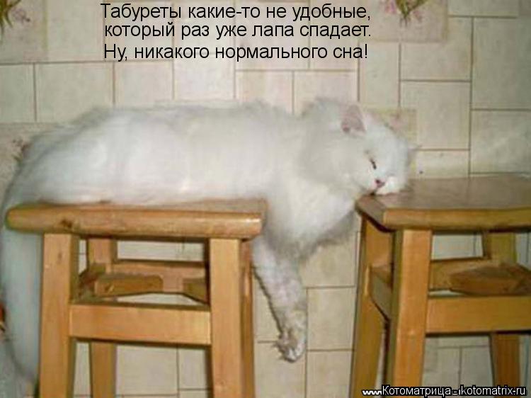 Котоматрица: Табуреты какие-то не удобные, который раз уже лапа спадает. Ну, никакого нормального сна!