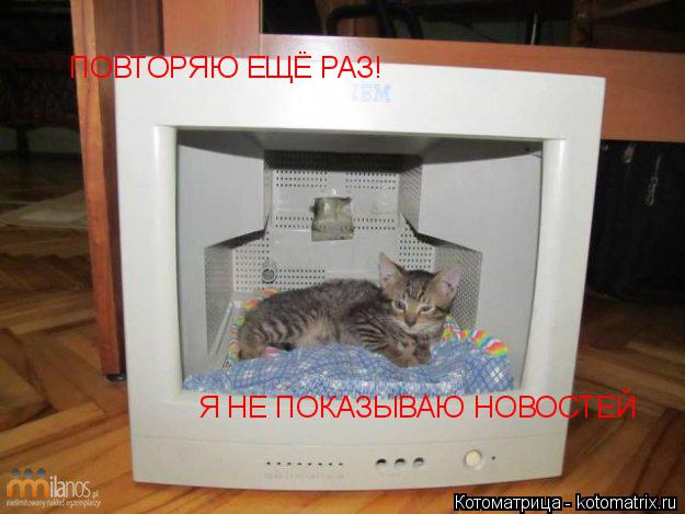 Котоматрица: ПОВТОРЯЮ ЕЩЁ РАЗ! Я НЕ ПОКАЗЫВАЮ НОВОСТЕЙ