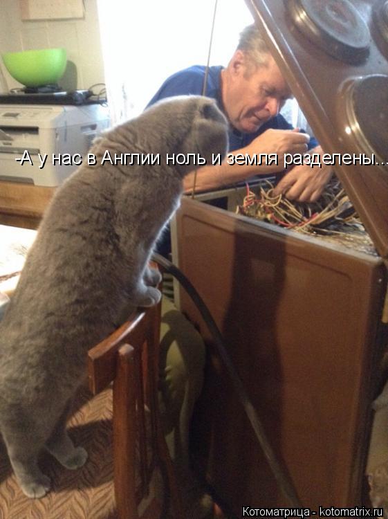 Котоматрица: -А у нас в Англии ноль и земля разделены...