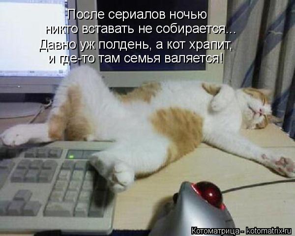 Котоматрица: После сериалов ночью  никто вставать не собирается... Давно уж полдень, а кот храпит,  и где-то там семья валяется!