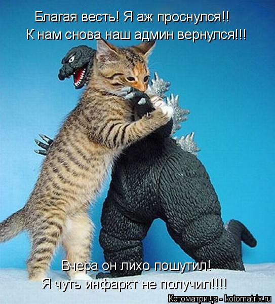 Котоматрица: К нам снова наш админ вернулся!!! Благая весть! Я аж проснулся!! Вчера он лихо пошутил! Я чуть инфаркт не получил!!!!