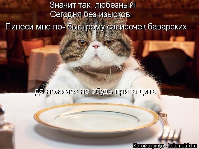 Котоматрица: Значит так, любезный!  Сегодня без изысков.  Пинеси мне по- быстрому сасисочек баварских  да ножичек не збудь притащить.