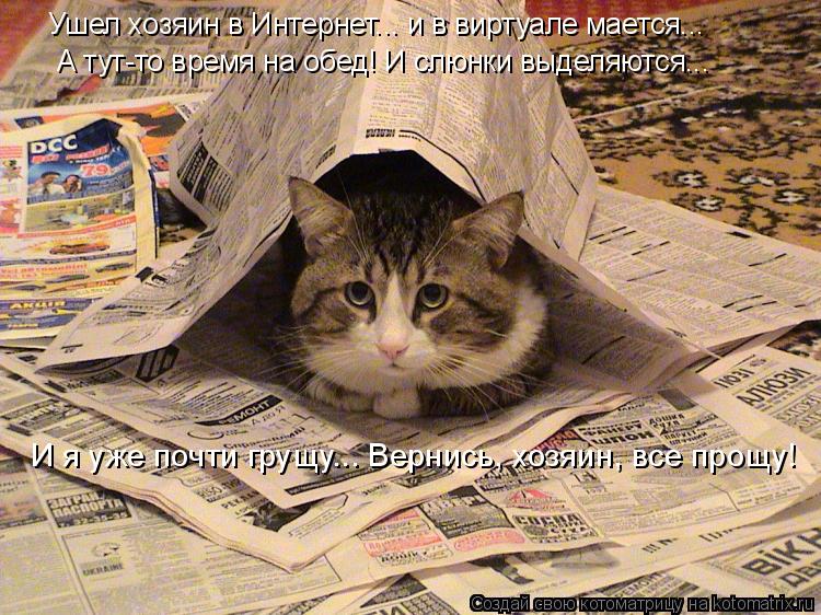 Котоматрица: А тут-то время на обед! И слюнки выделяются... Ушел хозяин в Интернет... и в виртуале мается... И я уже почти грущу... Вернись, хозяин, все прощу!