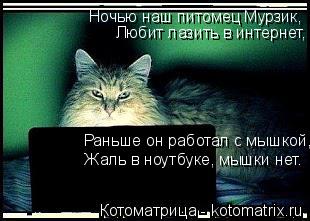 Котоматрица: Ночью наш питомец Мурзик, Любит лазить в интернет, Раньше он работал с мышкой, Жаль в ноутбуке, мышки нет.