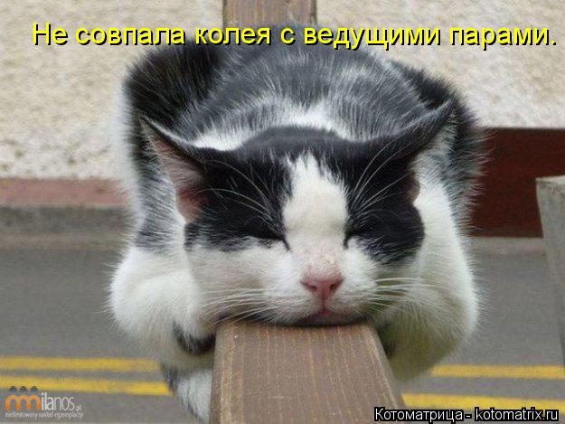 Котоматрица: Не совпала колея с ведущими парами.