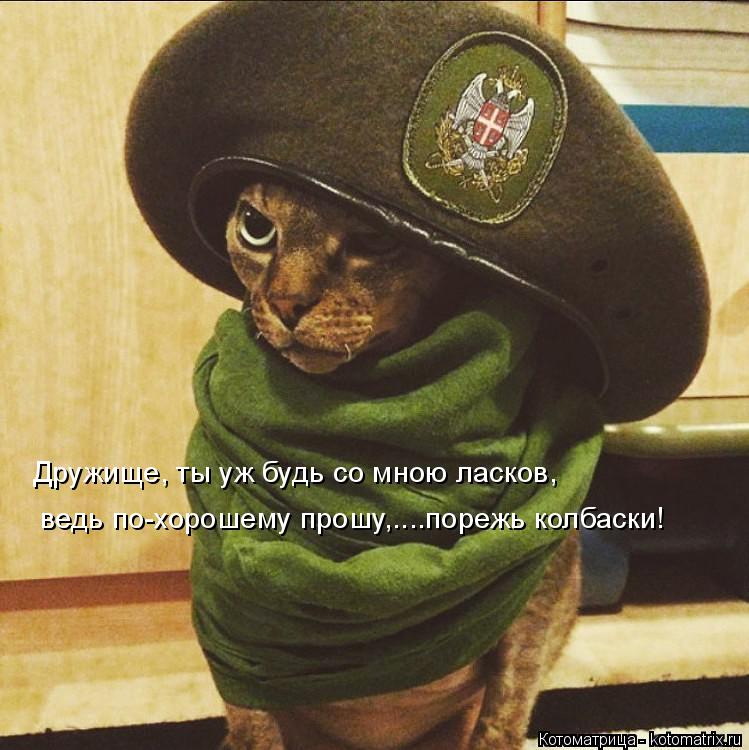 Котоматрица: Дружище, ты уж будь со мною ласков, ведь по-хорошему прошу,....порежь колбаски!