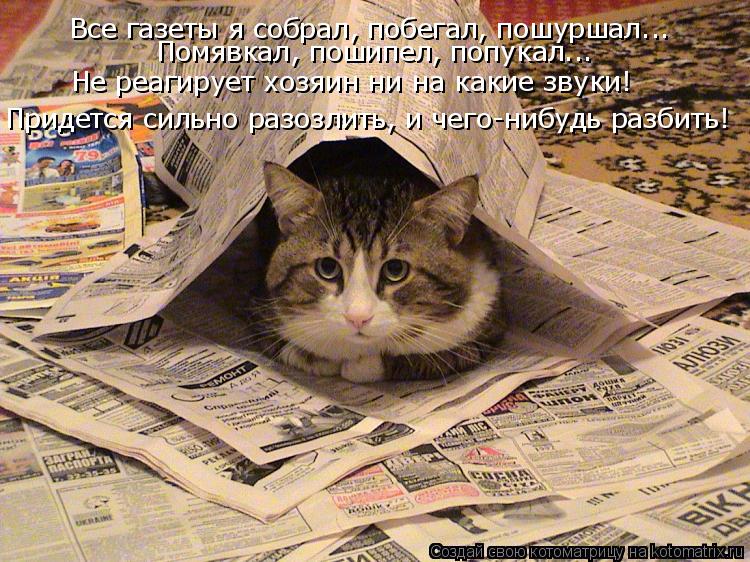 Котоматрица: Все газеты я собрал, побегал, пошуршал... Помявкал, пошипел, попукал... Не реагирует хозяин ни на какие звуки! Придется сильно разозлить, и чег