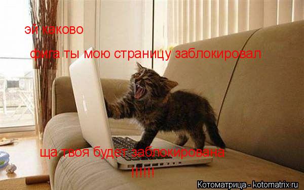 Котоматрица: эй каково фига ты мою страницу заблокировал ща твоя будет заблокирована !!!!!!