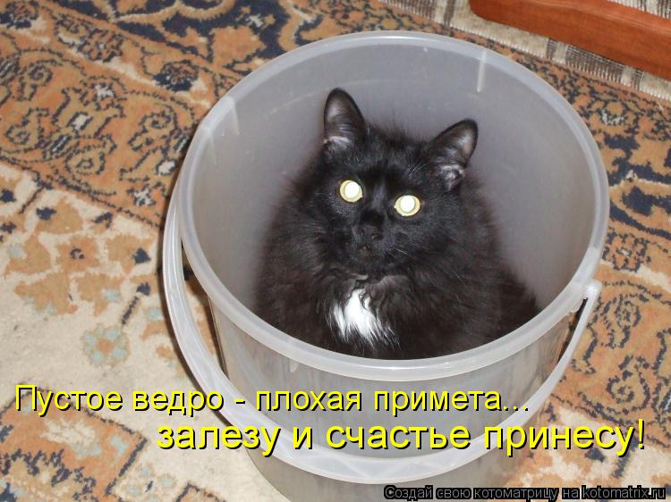 Котоматрица: Пустое ведро - плохая примета... залезу и счастье принесу!