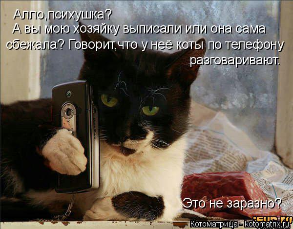 Котоматрица: Алло,психушка? А вы мою хозяйку выписали или она сама сбежала? Говорит,что у неё коты по телефону разговаривают.  Это не заразно?