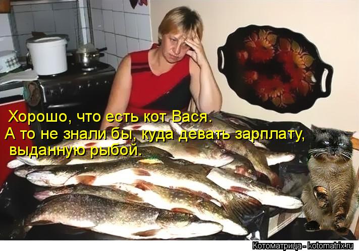 Котоматрица: Хорошо, что есть кот Вася. А то не знали бы, куда девать зарплату, выданную рыбой.