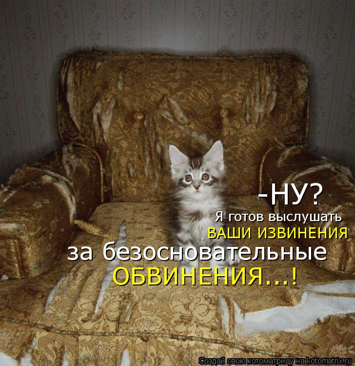 Котоматрица: -НУ?  Я готов выслушать  ВАШИ ИЗВИНЕНИЯ  за безосновательные ОБВИНЕНИЯ...!
