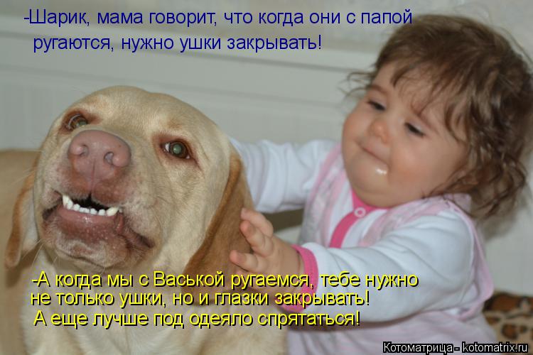 Котоматрица: -Шарик, мама говорит, что когда они с папой ругаются, нужно ушки закрывать! -А когда мы с Васькой ругаемся, тебе нужно не только ушки, но и глаз