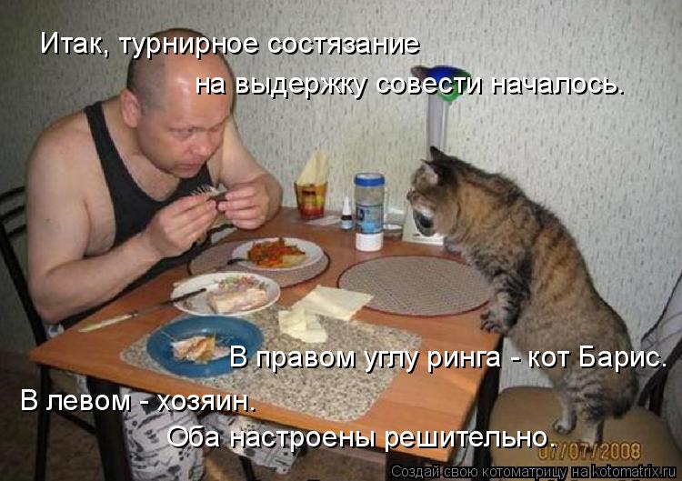 Котоматрица: Итак, турнирное состязание  на выдержку совести началось. В правом углу ринга - кот Барис. В левом - хозяин.  Оба настроены решительно.
