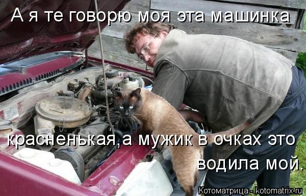 Котоматрица: А я те говорю моя эта машинка красненькая,а мужик в очках это водила мой.