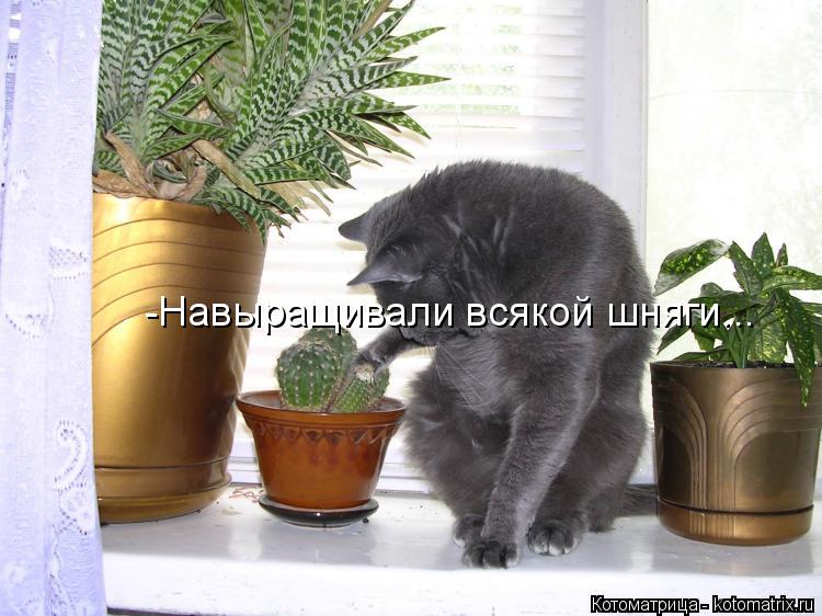 Котоматрица: -Навыращивали всякой шняги...
