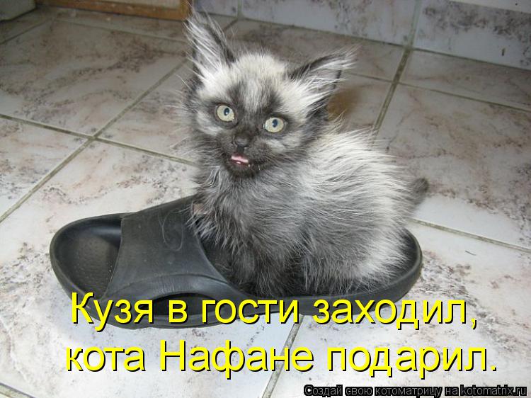 Котоматрица: Кузя в гости заходил, кота Нафане подарил.