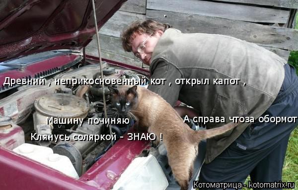 Котоматрица: . Машину починяю Древний , неприкосновенный кот , открыл капот ,  А справа чтоза обормот - вообще не понимаю Клянусь соляркой - ЗНАЮ !