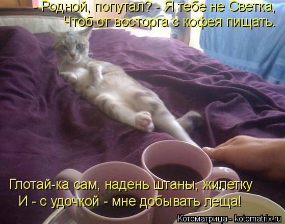 Котоматрица: - Родной, попутал? - Я тебе не Светка, Чтоб от восторга с кофея пищать. Глотай-ка сам, надень штаны, жилетку И - с удочкой - мне добывать леща!