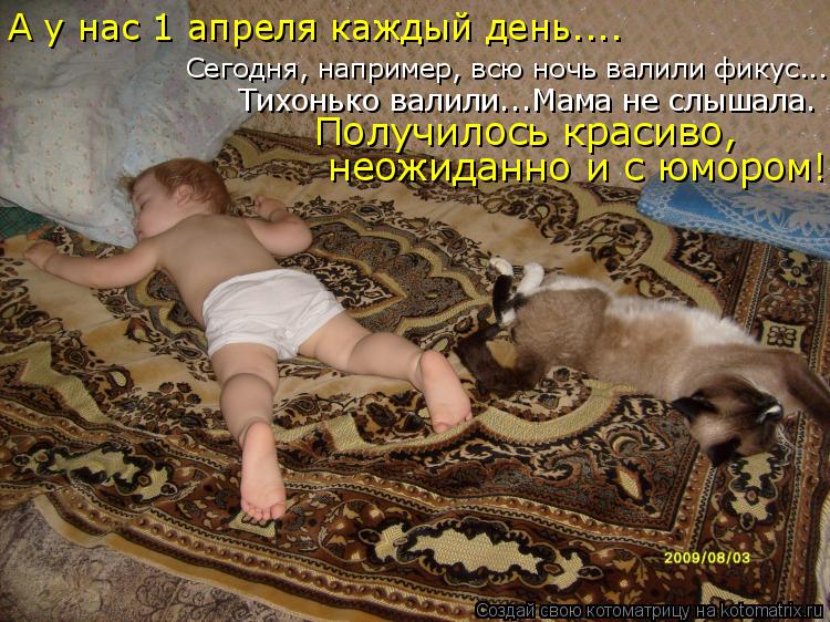 Котоматрица: Сегодня, например, всю ночь валили фикус... Тихонько валили...Мама не слышала. А у нас 1 апреля каждый день.... Получилось красиво,  неожиданно и 