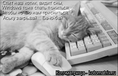 Котоматрица: Спит наш котик, видит сны, Windows тоже спать ложиться, Чтобы ночью нам присниться. Аську закрывай... Ба-ю-бай.