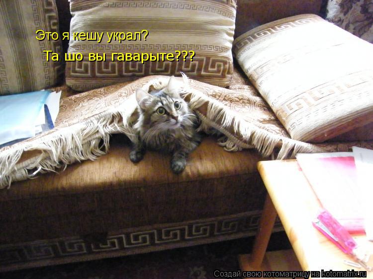 Котоматрица: Это я кешу украл? Та шо вы гаварыте???