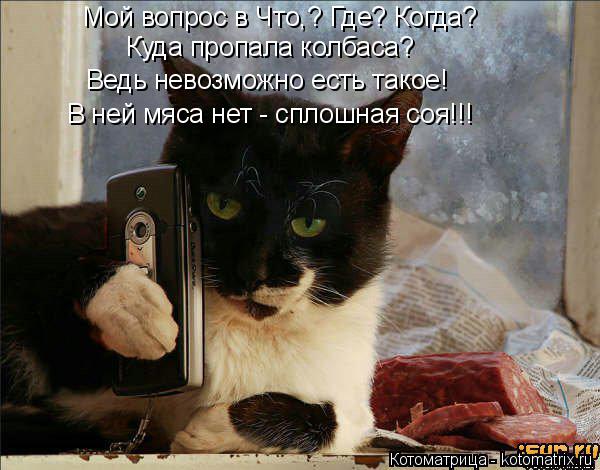 Котоматрица: Мой вопрос в Что,? Где? Когда? Куда пропала колбаса? Ведь невозможно есть такое! В ней мяса нет - сплошная соя!!!