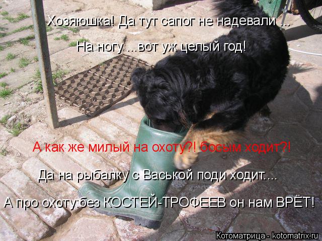 Котоматрица: Хозяюшка! Да тут сапог не надевали ... На ногу ...вот уж целый год! А как же милый на охоту?! босым ходит?! Да на рыбалку с Васькой поди ходит.... А п