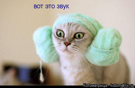 Котоматрица: вот это звук