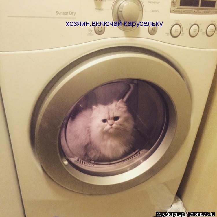 Котоматрица: хозяин,включай карусельку