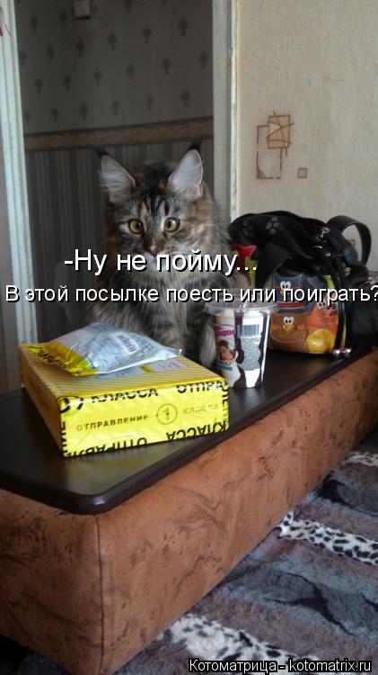 Котоматрица: -Ну не пойму... В этой посылке поесть или поиграть?!