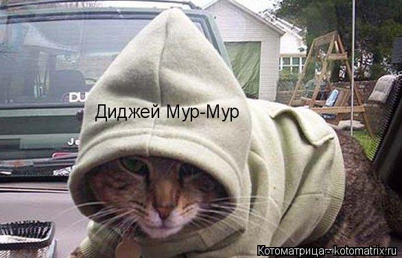 Котоматрица: Диджей Мур-Мур