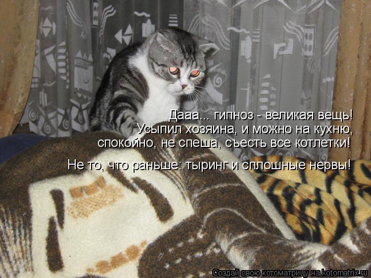 Котоматрица: Дааа... гипноз - великая вещь! Усыпил хозяина, и можно на кухню,  спокойно, не спеша, съесть все котлетки! Не то, что раньше: тыринг и сплошные не