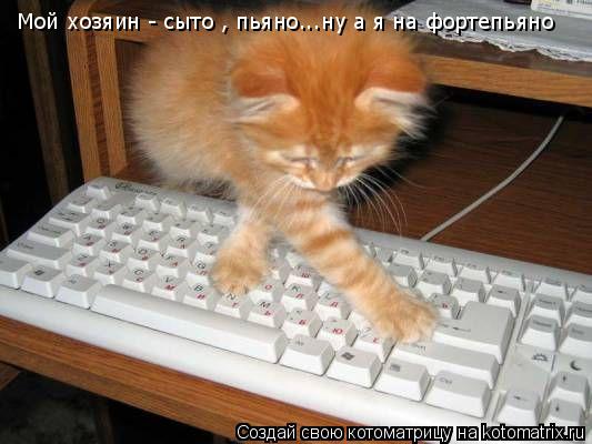 Мой хозяин - сыто , пьяно...ну а я на фортепьяно... Котоматрица: Мой хозяин - сыто , пьяно...ну а я на фортепьяно