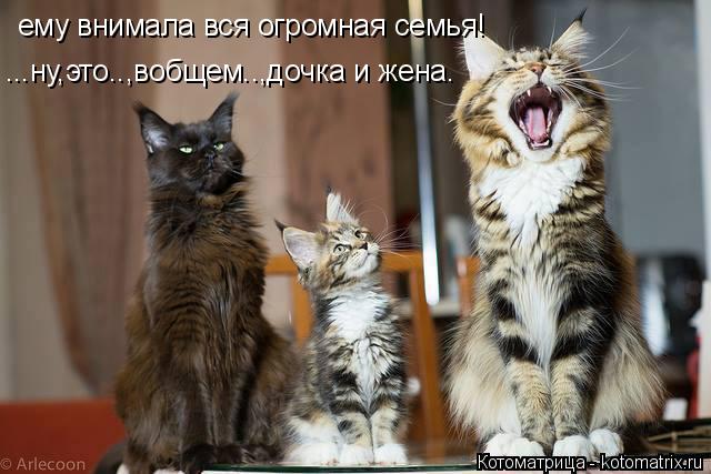 Котоматрица: ему внимала вся огромная семья! ...ну,это..,вобщем..,дочка и жена.