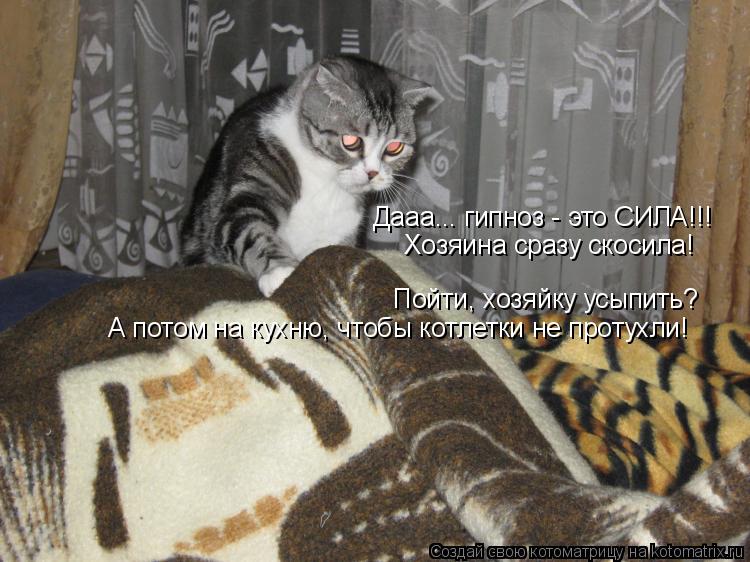 Котоматрица: Дааа... гипноз - это СИЛА!!! Хозяина сразу скосила! Пойти, хозяйку усыпить?  А потом на кухню, чтобы котлетки не протухли!