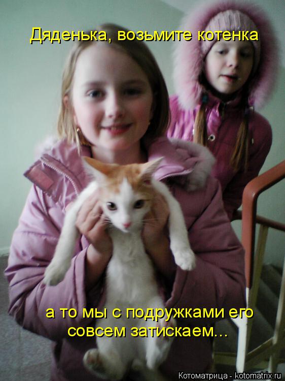 Котоматрица: Дяденька, возьмите котенка а то мы с подружками его совсем затискаем...