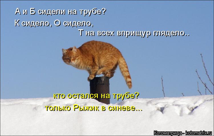 А и Б сидели на трубе? К сидело, О сидело, Т на всех вприщур глядело.. кто остался на трубе? только ... Котоматрица: А и Б сидели на трубе? К сидело, О сидело, Т на всех вприщур глядело.. кто остался на трубе? только Рыжик в синеве...