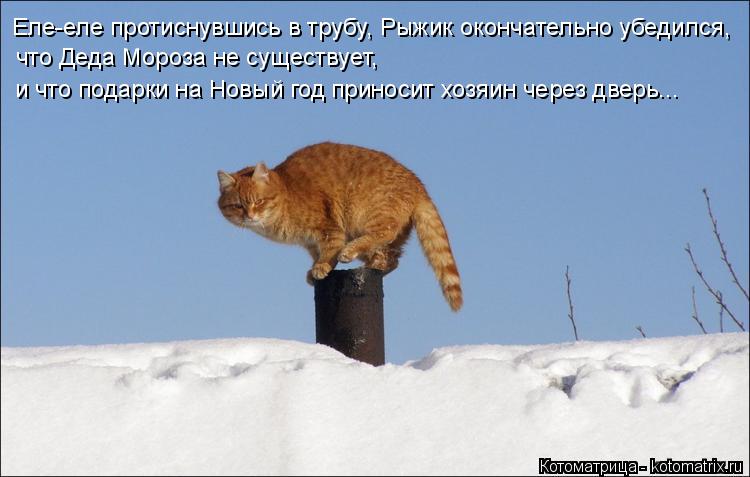 Котоматрица: Еле-еле протиснувшись в трубу, Рыжик окончательно убедился, что Деда Мороза не существует, и что подарки на Новый год приносит хозяин через 