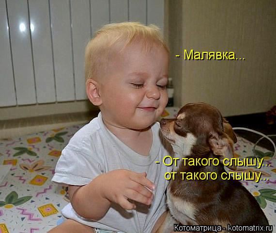 Котоматрица: - Малявка... - От такого слышу... от такого слышу...